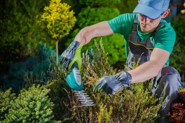 landscaping services University at Buffalo